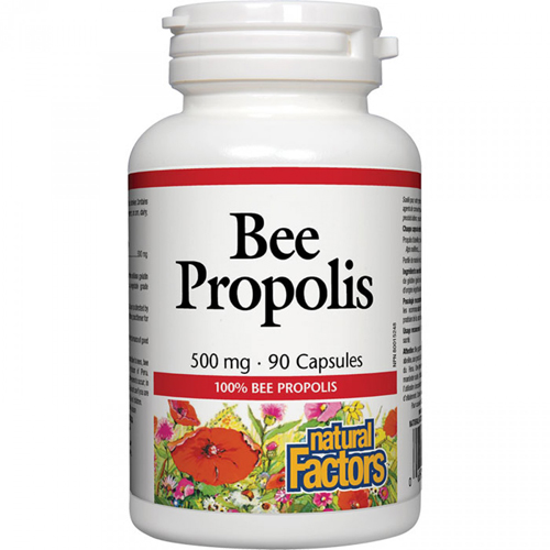 BEE PROPOLIS EXTRACT 500 MG Image 1
