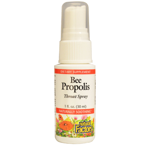BEE PROPOLIS THROAT SPRAY Image 1