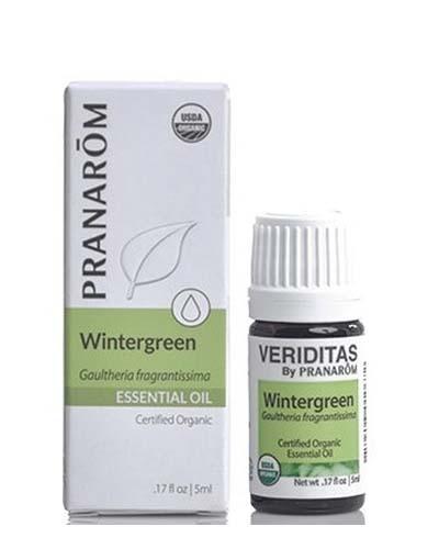 Wintergreen | Gaultheria fragrantissima Image 1