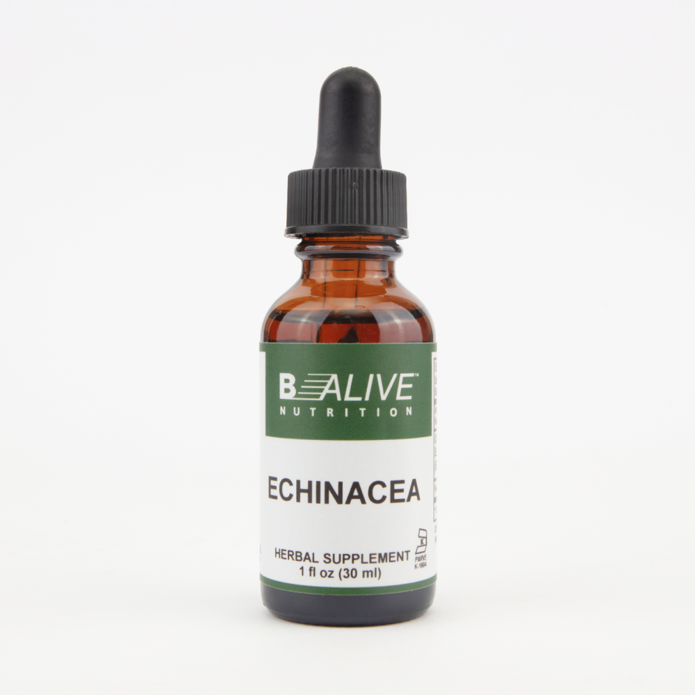 Echinacea Image 1
