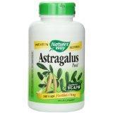 Astragalus Root Image 1