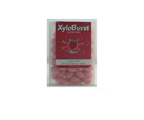 Xylitol Mints Berry 60Pc Image 1
