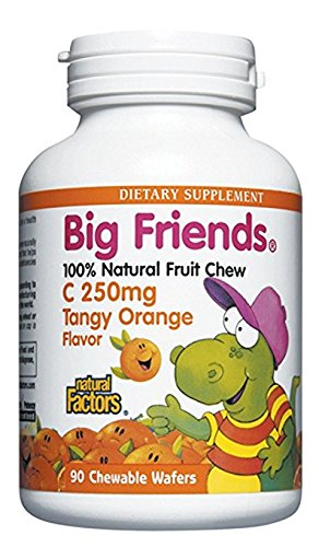 CHEWABLE VIT C 250 MG ORANGE Image 1