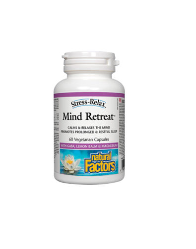MIND RETREAT Image 1