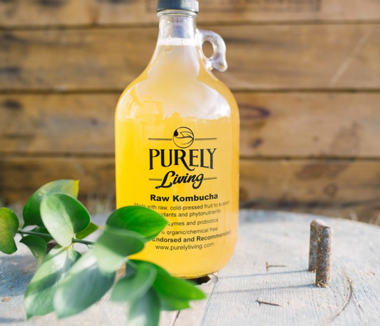 White Tea Kombucha Image 1