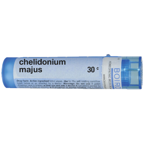 Chelidonium majus 30C Image 1