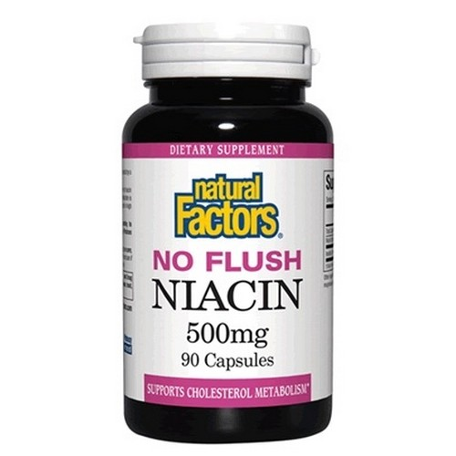 NO FLUSH NIACIN 500 MG 90 CAP Image 1