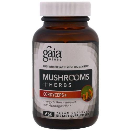 Adaptogen Performace - Mushroo Image 1