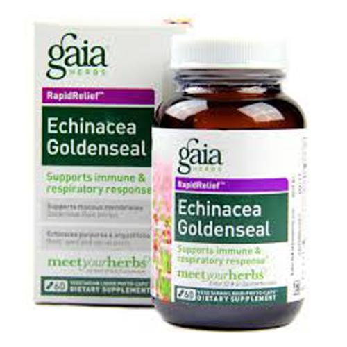 Echinacea Goldenseal Image 1
