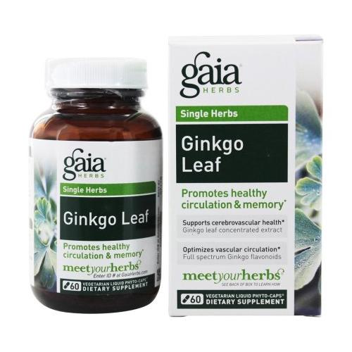 Ginkgo Leaf Image 1