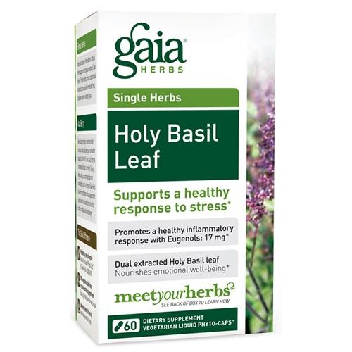 Holy Basil Leaf Image 1