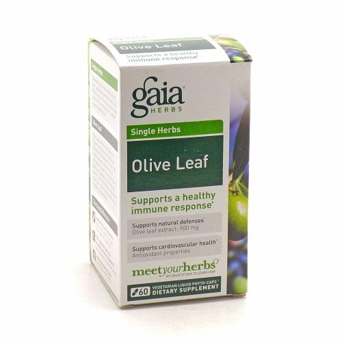 Olive Leaf Image 1