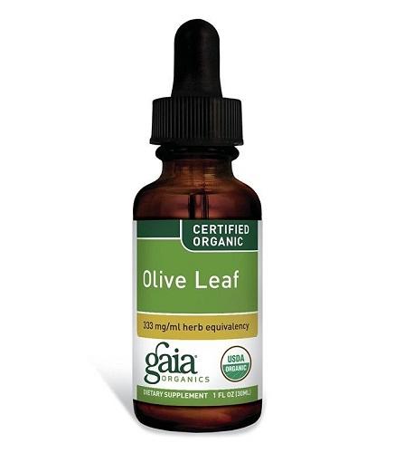 Olive Leaf (COG) Image 1