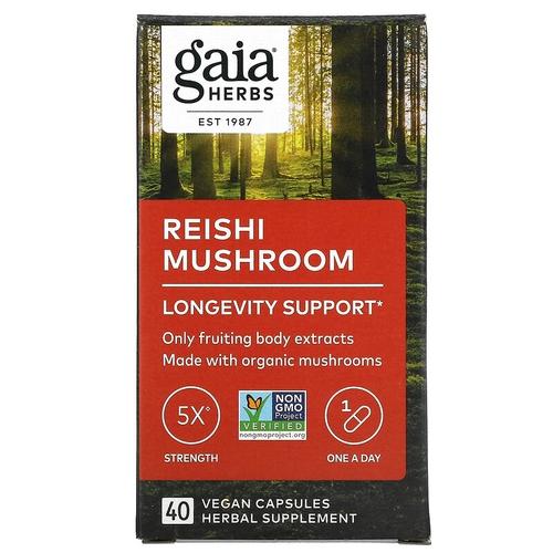 Reishi Mushroom Image 1