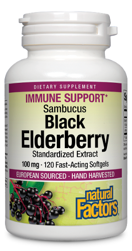 Black Elderberry | European Source Image 1