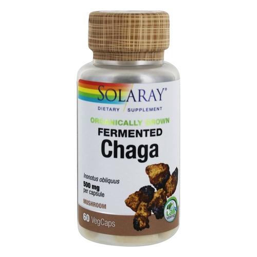 Organically Grown Fermented Chaga Mushroom 60ct Image 1