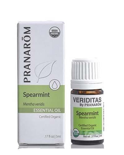 Spearmint | Mentha veridis Image 1