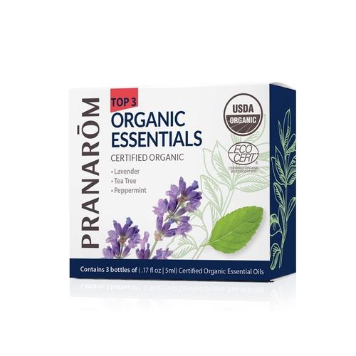 Top 3 Single Note Essential Oil Kit Image 1