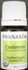 Cardamom | Eleterria cardamomum Image 1