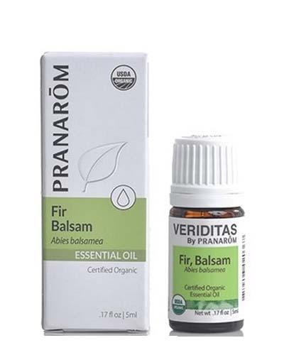 Fir, Balsam | Abies balsamea Image 1