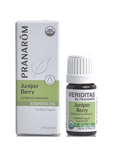 Juniper Berry | Juniperus communis Image 1