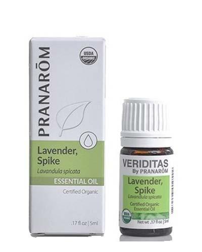 Lavender, Spike | Lavendula spicata Image 1