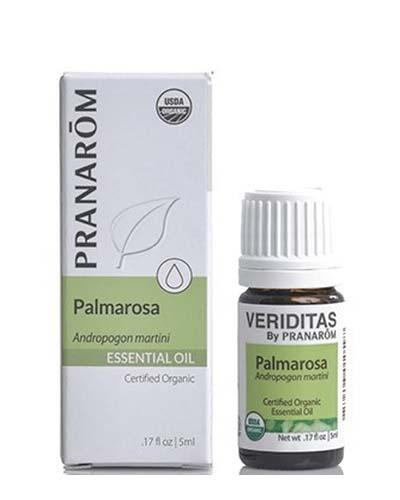 Palmarosa | Andropogon martini Image 1