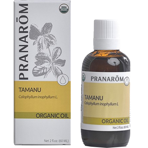 Tamanu Virgin Plant Oil | Calophyllum inophyllum L. Image 1
