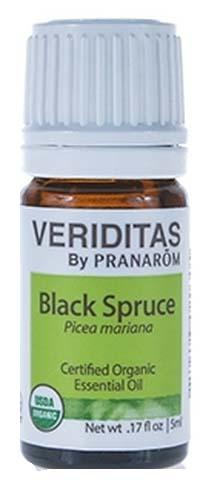 Black Spruce | Picea mariana Image 1