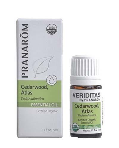 Cedarwood Atlas | Cedrus atlantica Image 1