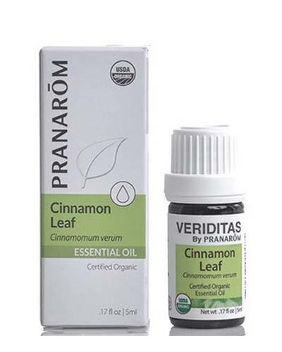 Cinnamon Leaf | Cinamomum verum Image 1