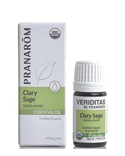 Clary Sage | Salvia sclarea Image 1
