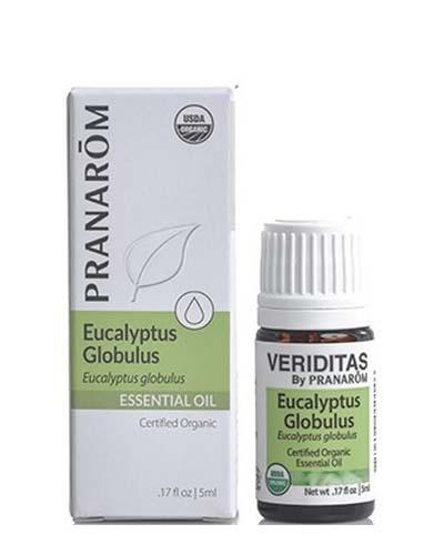Eucalyptus Globulus | Eucalyptus globulus Image 1
