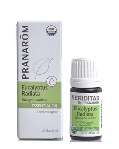 Eucalyptus Radiata | Eucalyptus radiata Image 1
