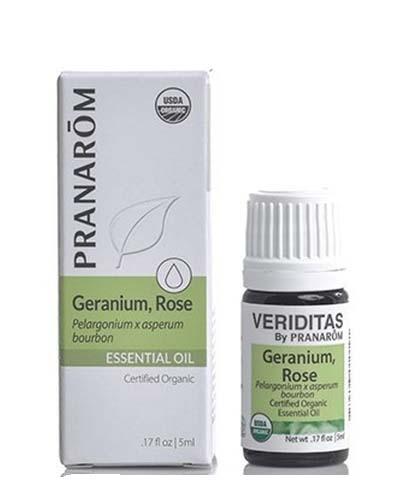 Geranium Rose | Pelargonium x asperum bourbon Image 1