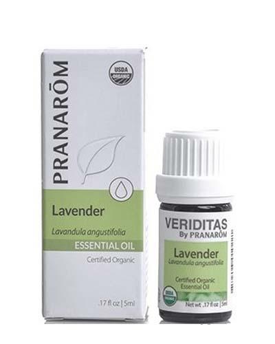 Lavender | Lavendula angustifolia Image 1
