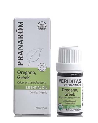 Oregano Greek | Origanum heracleoticum Image 1
