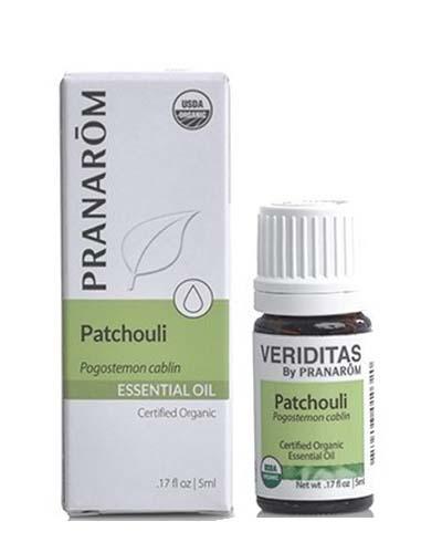 Patchouli | Pogostemon cablin Image 1