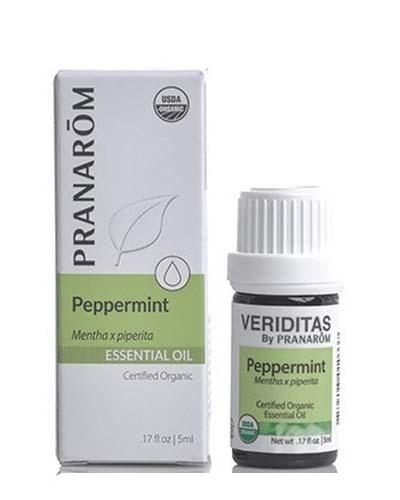 Peppermint | Mentha x piperita Image 1