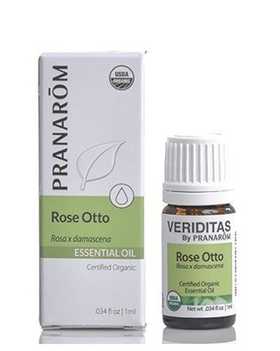 Rose Otto | Rosa x damascena Image 1