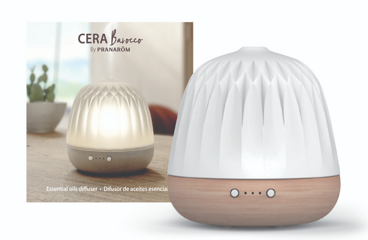 Cera Barocco Diffuser | Italian-inspired wood and ceramic design Image 1
