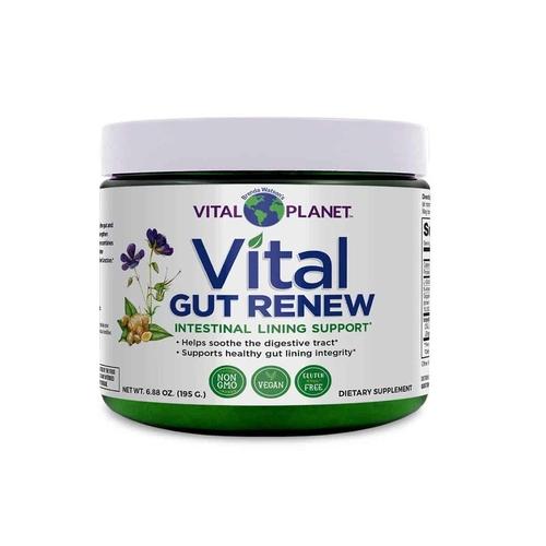 Vital GUT RENEW| 195g Human Image 1