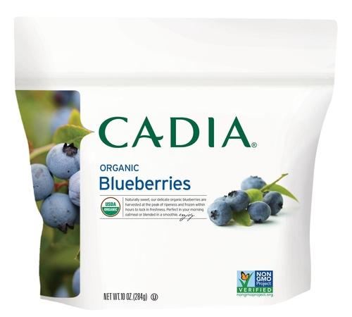 Fruit Blueberries Organic Image 1