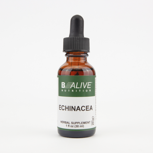 Echinacea Image 1