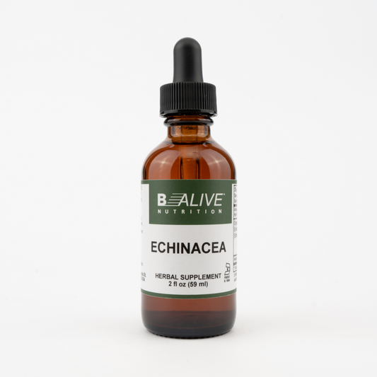 Echinacea Image 1