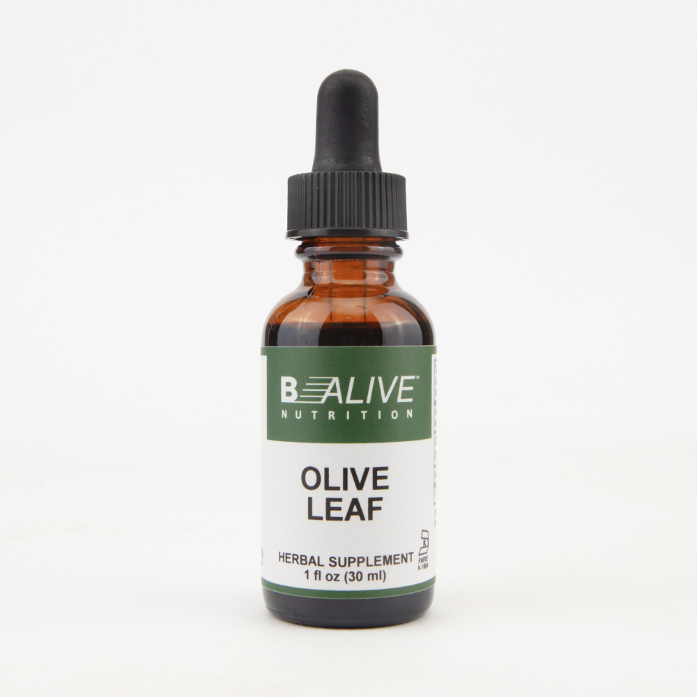 Olive Leaf Image 1
