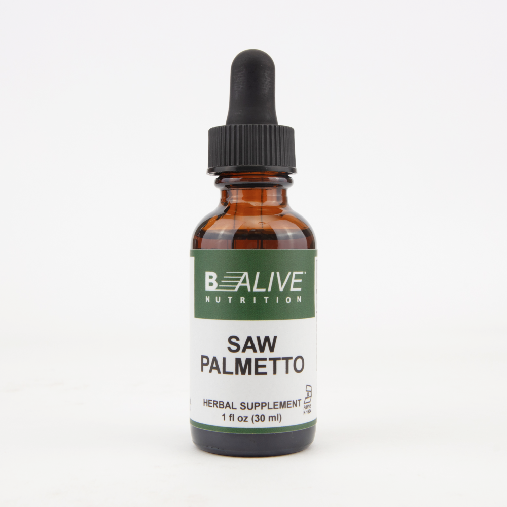 Saw Palmetto Image 1