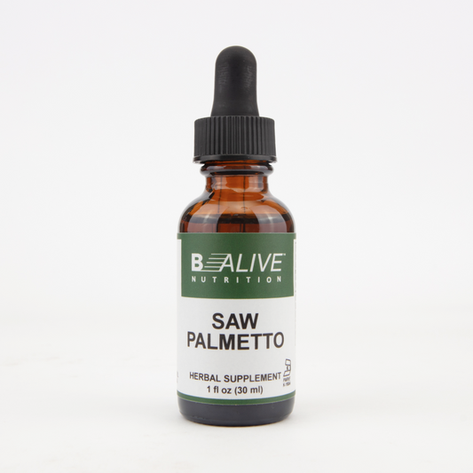 Saw Palmetto Image 1