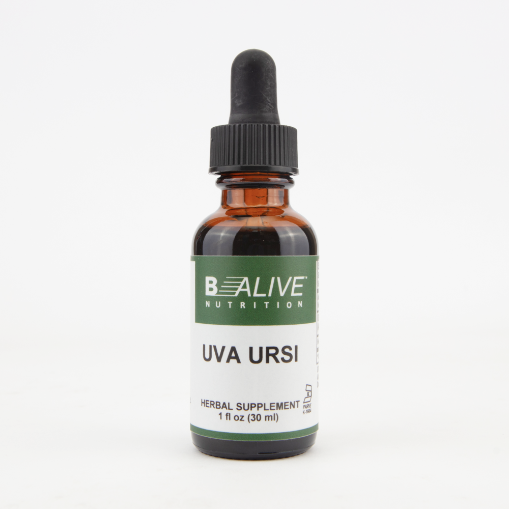 Uva Ursi Image 1