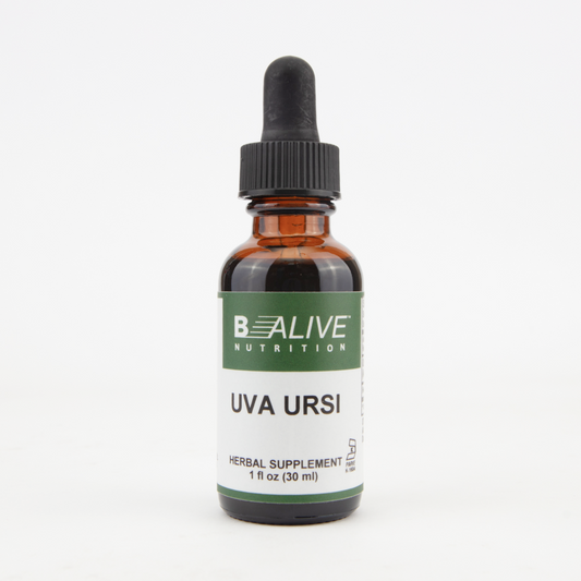 Uva Ursi Image 1